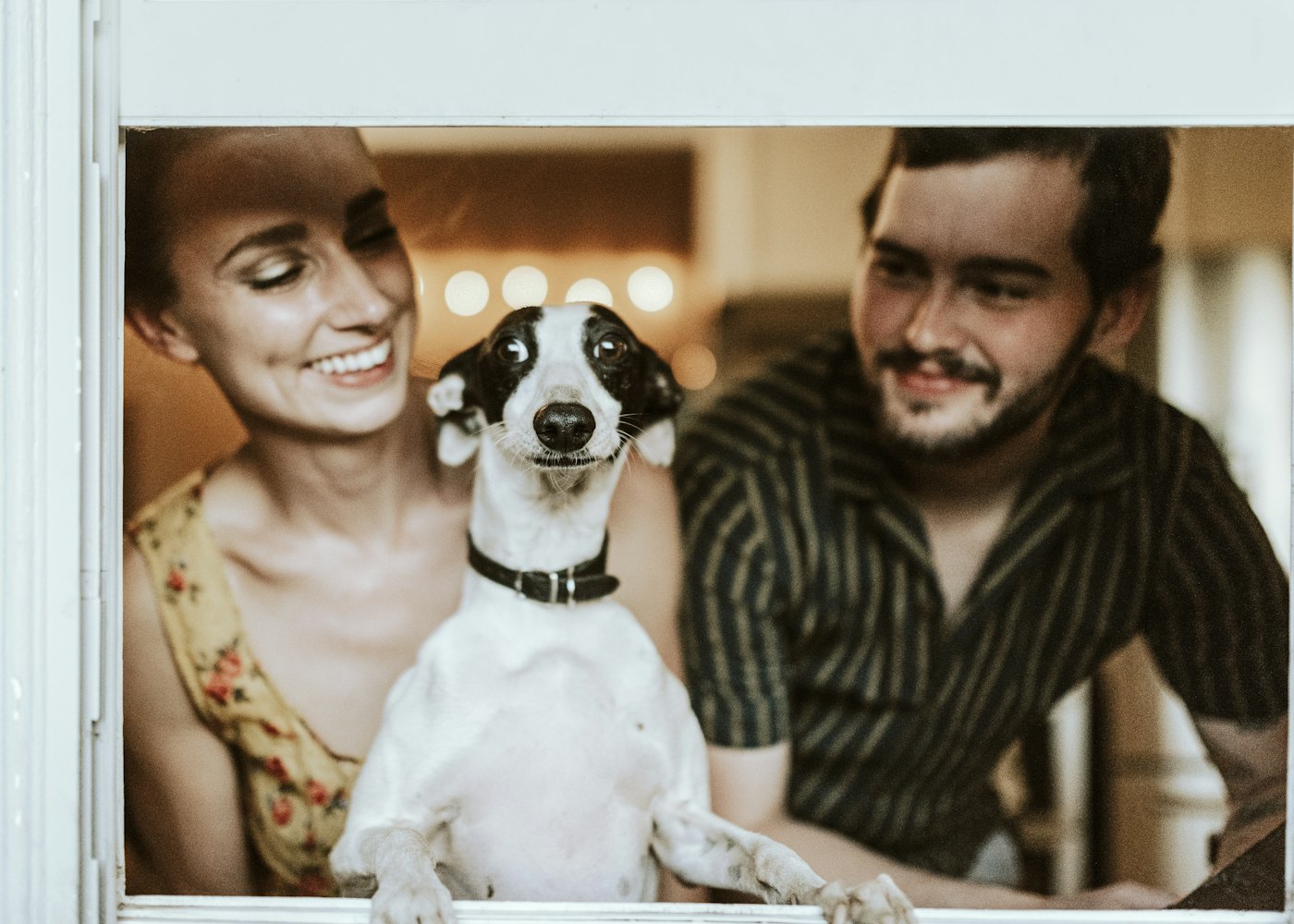 Pet hosts with a dog
